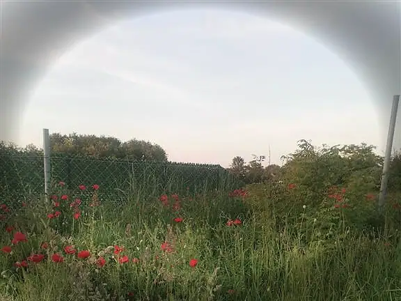 Plac, Lokacija na upit